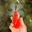 A Grade Red White Oranda Male 5.5 inches #102326OR_21