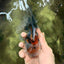 Calico Oranda Male 5-5.5 inches #050126OR_12