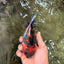A Grade Tiger Oranda Female 5-5.5 inches #071726OR_15