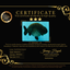 UNIQUE AAA Grade Strong Body Structure Platinum Blue Ranchu Female 4.5-5 inches #061926RC_09