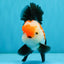 A Grade Tricolor Oranda Male 5-5.5  inches #032726OR_12