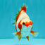 A Grade Red White Ryukin Female 4 inches #050126RK_03