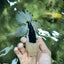 A Grade Tricolor Oranda Male 5.5 inches #111524OR_20