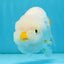 A Grade DUCKY White LionQueen 4.5-5 inches #122724LC_14