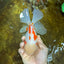AAA Grade ADORABLE Sakura Oranda Male 6-6.5 inches #091925OR_14