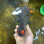 A Grade Lava Head Apache Oranda Male 6 inches #091925OR_13