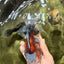 A Grade Calico Oranda Female 5.5 inches #050126OR_05