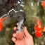 AAA Grade Calico Oranda Male 6-6.5 inches #070626OR_16
