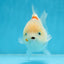 ADORABLE White Sakura Yuanbao Female 4.5 inches #101725YB_30