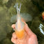 A Grade White Oranda Male 5-5.5 inches #102326OR_18