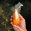 A  Grade White Oranda Male 6-6.5 inches #071026OR_27