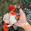 Marble Oranda Male 6.5 inches #050126OR_14