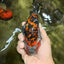 A Grade Calico Ranchu Male 5.5-6 inches #101626RC_25