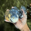 AAA Grade Kirin Oranda Male 6 inches #092526OR_04