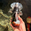 CHUBBY AAA Grade Godzilla Kirin Oranda Male 6.5 inches #050826OR_02