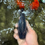 UNIQUE AAA Grade Blue Ranchu Male 5 inches #071026RC_10