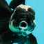 A Grade Monster Panda Oranda Female 5.5-6 inches #111524OR_18