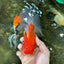 A Grade Sakura Oranda Female 5.5  inches #071125OR_09