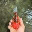 A Grade Tiger Yuanbao Male 5-5.5 inches #080726YB_25