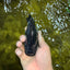 SPECIAL AAA Grade Strong Body Structure Black Cooper Ranchu Male 4.5 inches #061926RC_08