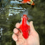 A Grade Red White Ryukin Female 4 inches #050126RK_04