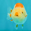 ADORABLE Kohaku Red White Lionchu Female 4 inches #081426LC_15