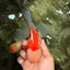 FLUFFY TAIL A Grade Jade Head Red White Oranda Male 5.5-6 inches #090426OR_13