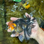 A Grade FANCY Tricolor Oranda Male 5.5 inches #082925OR_05