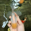 A Grade White Oranda Male 5.5 inches #101626OR_13