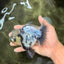 AAA Grade White Marble Oranda Male 5.5 inches #070626OR_23