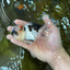 Tricolor Oranda Male 5 inches #052325OR_07