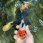 A Grade Tricolor Oranda Male 5-5.5 inches #060625OR_23