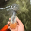 A Grade Marble Oranda Male 6 inches #062626OR_33