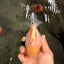 A Grade Chicken White Yuanbao Female 5 inches #062626YB_15
