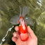 A Grade  Red White Oranda Male 5.5 inches #100926OR_15