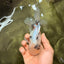 A Grade Marble Oranda Male 5.5-6 inches #082826OR_08