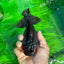 A Grade Black Copper Nugget Yuanbao Female 5 inches #0531YB_06