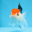 Red Head Tricolor Oranda Male 5.5 inches #0706OR_04