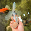 Marble Oranda Male 6.5 inches #091826OR_02