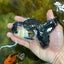 A Grade Young Panda Button W Oranda Male 4.5-5 inches #061325_06