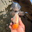 CHONKY AAA Grade Marble Button Eyes Oranda Male 6 inches #061926OR_27