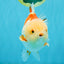 CHUBBY A Grade Red White Yuanbao Male 6 inches #041026YB_26