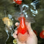 A Grade Lipsticks Red White Oranda Male 6 inches #101626OR_03