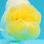 A Grade Dragon Lemonhead  LionQueen 4.5 inches #022726LC_28