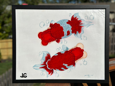 [FREE SHIPPING] Handcrafted Red White Top View Japanese Ranchu 16”x20” Painting – One-of-a-Kind Artwork from Jimmy’s Collection