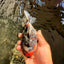 A Grade Kirin Yuanbao Female 5.5 inches #073126YB_25