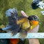 Jumbo Fluffy Black Gold Rose Tail Oranda Female 6.5-7 inches #1110OR_21