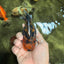 A Grade Tiger Yuanbao Male 4.5 inches #101626YB_34