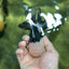 A Grade Panda Button Eyes Oranda Male 4.5-5 inches #120624OR_07