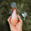 SUPER CUTE AAA Grade Red White Oranda Male 6-6.5 inches #080726OR_04